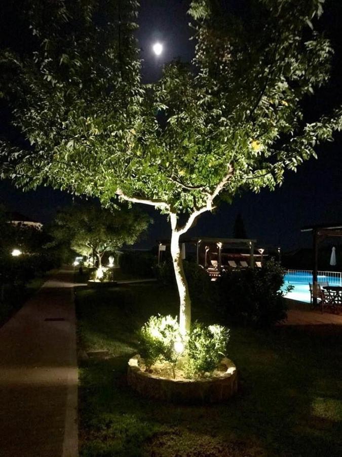 Boutique Hotel Ileas Village Arkúdi Kültér fotó