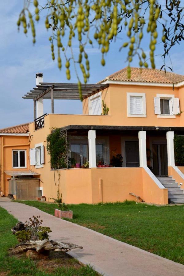 Boutique Hotel Ileas Village Arkúdi Kültér fotó