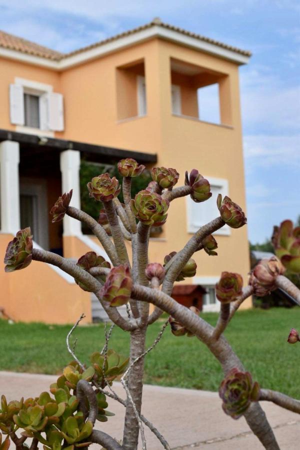 Boutique Hotel Ileas Village Arkúdi Kültér fotó