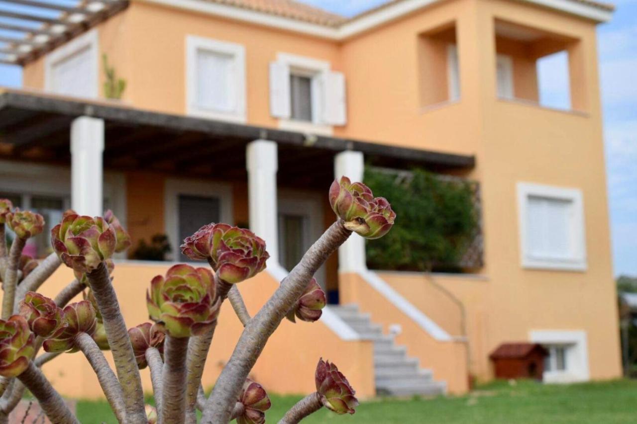 Boutique Hotel Ileas Village Arkúdi Kültér fotó